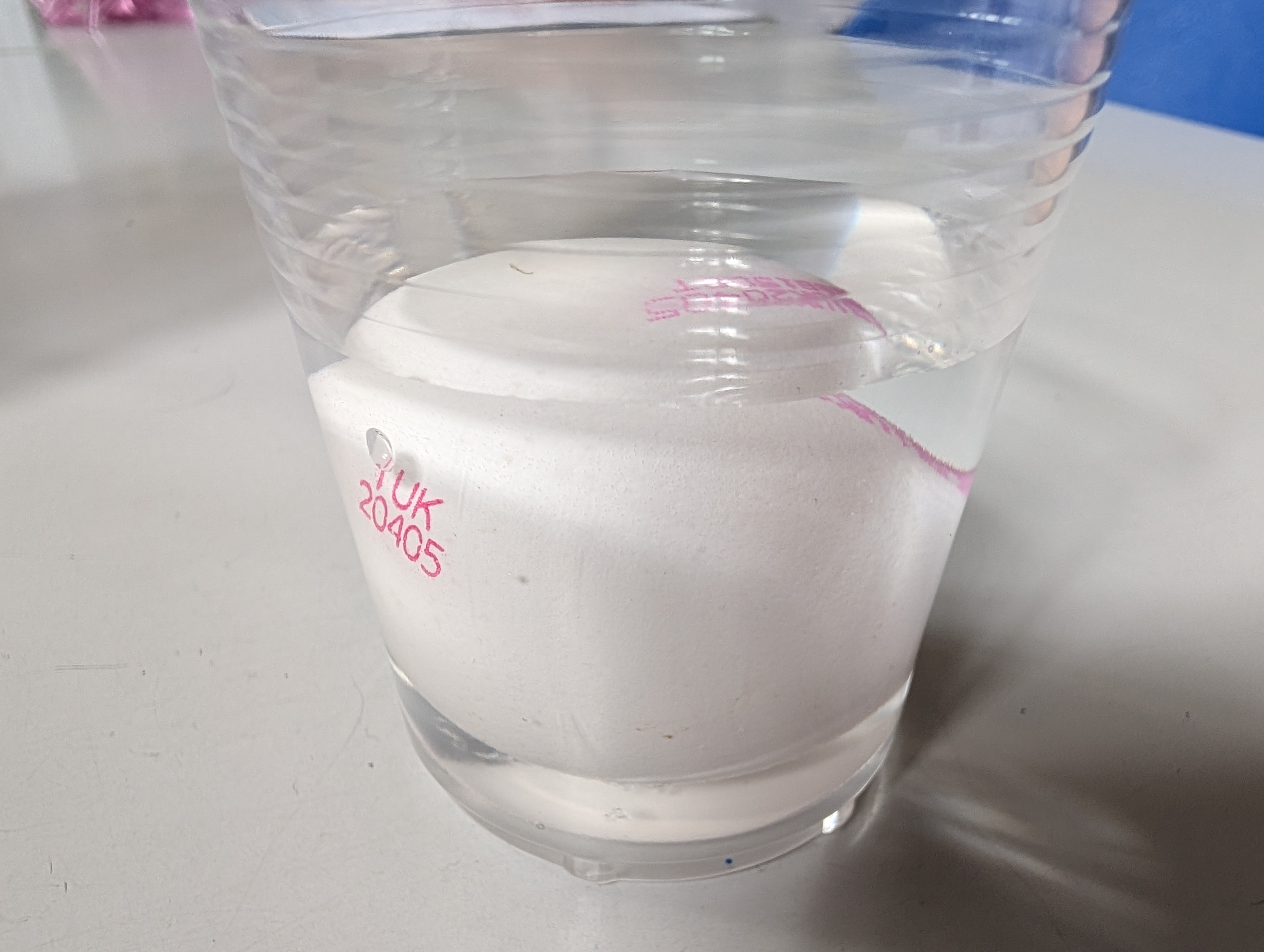 Year 4 science digestion experiment 9